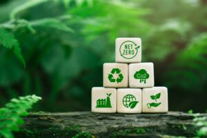 Biocombustible qué es